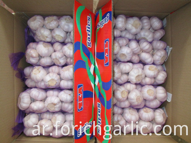 New Crop Fresh Season Garlic